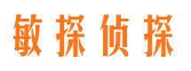 钦南市调查公司